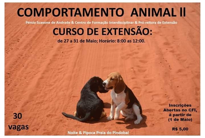 /media/file/site/procce/imagens/2019/330ee39b10d80e4becc5c426f3b5cab6.jpg