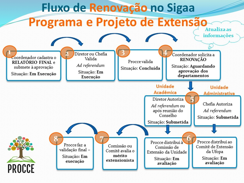 Fluxo renovação programas e projetos
